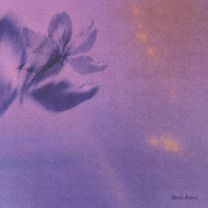 欧美泰国日本乱伦视频
